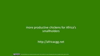 Challenges and opportunities for improved tropical poultry productivity and resilience