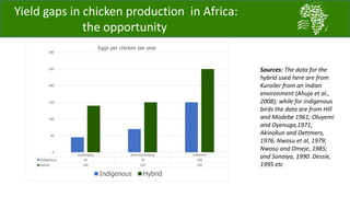 Challenges and opportunities for improved tropical poultry productivity and resilience