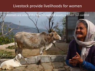 Livestock provide livelihoods for women
Animals are one of the few household assets women can control
 