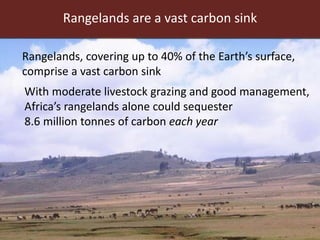 Rangelands are a vast carbon sink
Rangelands, covering up to 40% of the Earth’s surface,
comprise a vast carbon sink
With moderate livestock grazing and good management,
Africa’s rangelands alone could sequester
8.6 million tonnes of carbon each year
 