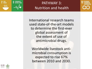 International research teams
used state-of-the-art models
to determine the first-ever
global assessment of
the extent of use of
antimicrobial drugs.
Worldwide livestock anti-
microbial consumption is
expected to rise 67%
between 2010 and 2030.
PATHWAY 3:
Nutrition and health
 