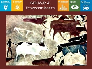 Livestock research contributions to the SDGs—Starting with the End in Mind: Real-world evidence for real-world solutions