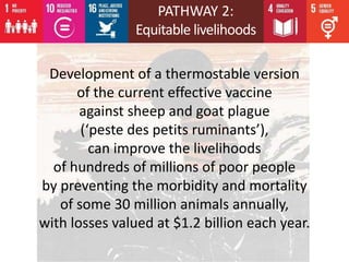 Livestock research contributions to the SDGs—Starting with the End in Mind: Real-world evidence for real-world solutions