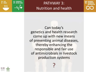 Livestock research contributions to the SDGs—Starting with the End in Mind: Real-world evidence for real-world solutions