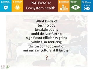 Livestock research contributions to the SDGs—Starting with the End in Mind: Real-world evidence for real-world solutions