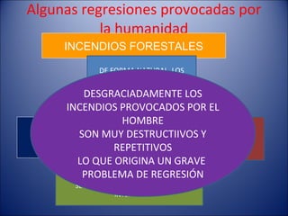 Algunas regresiones provocadas por
           la humanidad
     INCENDIOS FORESTALES

              DE FORMA NATURAL, LOS
            INCENDIOS ERAN UN FACTOR
               AMBIENTAL NECESARIO
          DESGRACIADAMENTE LOS
              EN BOSQUES TEMPLADOS
      INCENDIOS PROVOCADOS POR EL
    EXTERMINABAN     HOMBRE        EL FUEGO REACTIVA
          SON MUY DESTRUCTIIVOS Y YEMAS
     LOS ÁRBOLES
         VIEJOS
                                    ALGUNAS
                                  DE ALGUNAS ESPECIES
   DEJANDO ESPACIO
   PARA LOS JOVENES
                    REPETITIVOS VEGETALES (ESPECIES
                                       PIRÓFITAS)
         LO QUE ORIGINA UN GRAVE
           PROBLEMA DE REGRESIÓN
              AL QUEMAR RASTROJOS
        SE EVITA QUE HAYA INCENDIOS MÁS
                    INTENSOS
 