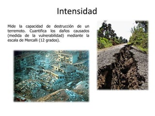 Intensidad
Mide la capacidad de destrucción de un
terremoto. Cuantifica los daños causados
(medida de la vulnerabilidad) mediante la
escala de Mercalli (12 grados).
 