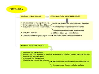 Ctm 7ª quincena (1)