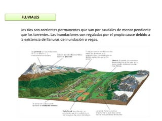 FLUVIALES


Los ríos son corrientes permanentes que van por caudales de menor pendiente
que los torrentes. Las inundaciones son reguladas por el propio cauce debido a
la existencia de llanuras de inundación o vegas.
 