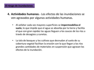 El riesgo de inundaciones


  4. Actividades humanas.- Los efectos de las inundaciones se
     ven agravados por algunas actividades humanas.

      • Al asfaltar cada vez mayores superficies se impermeabiliza el
        suelo, lo que impide que el agua se absorba por la tierra y facilita
        el que con gran rapidez las aguas lleguen a los cauces de los ríos a
        través de desagües y cunetas.

      • La tala de bosques y los cultivos que desnudan al suelo de su
        cobertura vegetal facilitan la erosión con lo que llegan a los ríos
        grandes cantidades de materiales en suspensión que agravan los
        efectos de la inundación.
 