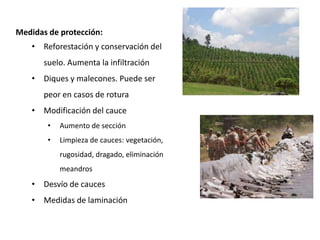 Medidas de protección:
    • Reforestación y conservación del
       suelo. Aumenta la infiltración
    • Diques y malecones. Puede ser
       peor en casos de rotura
    • Modificación del cauce
        •   Aumento de sección
        •   Limpieza de cauces: vegetación,
            rugosidad, dragado, eliminación
            meandros
    • Desvío de cauces
    • Medidas de laminación
 