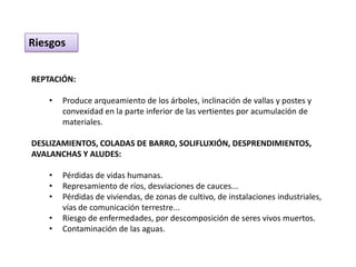 Riesgos


REPTACIÓN:

    •   Produce arqueamiento de los árboles, inclinación de vallas y postes y
        convexidad en la parte inferior de las vertientes por acumulación de
        materiales.

DESLIZAMIENTOS, COLADAS DE BARRO, SOLIFLUXIÓN, DESPRENDIMIENTOS,
AVALANCHAS Y ALUDES:

    •   Pérdidas de vidas humanas.
    •   Represamiento de ríos, desviaciones de cauces...
    •   Pérdidas de viviendas, de zonas de cultivo, de instalaciones industriales,
        vías de comunicación terrestre...
    •   Riesgo de enfermedades, por descomposición de seres vivos muertos.
    •   Contaminación de las aguas.
 