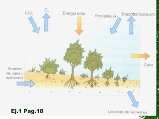 Ej.1 Pag.18
 
