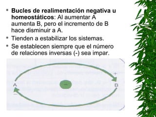    Bucles de realimentación negativa u
    homeostáticos: Al aumentar A
    aumenta B, pero el incremento de B
    hace disminuir a A.
   Tienden a estabilizar los sistemas.
   Se establecen siempre que el número
    de relaciones inversas (-) sea impar.
 
