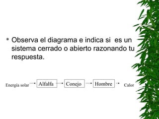    Observa el diagrama e indica si es un
    sistema cerrado o abierto razonando tu
    respuesta.


Energía solar   Alfalfa   Conejo   Hombre   Calor
 