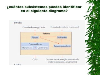 ¿cuántos subsistemas puedes identificar
       en el siguiente diagrama?
 