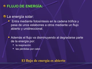 FLUJO DE ENERGÍA: 
La energía solar: 
 Entra mediante fotosíntesis en la cadena trófica y 
pasa de unos eslabones a otros mediante un flujo 
abierto y unidireccional. 
 Además el flujo va disminuyendo al degradarse parte 
de la energía por: 
 la respiración 
 las pérdidas por calor. 
El flujo de energía es abierto 
 