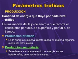Parámetros tróficos 
PRODUCCIÓN 
Cantidad de energía que fluye por cada nivel 
trófico 
Es una medida del flujo de energía que recorre el 
ecosistema por unid. de superficie y por unid. de 
tiempo. 
Producción primaria: 
 Es la energía luminosa transformada en materia orgánica 
mediante fotosíntesis. 
Producción secundaria: 
 Se refiere al almacenamiento de energía en los 
heterótrofos, en el resto de niveles. 
 