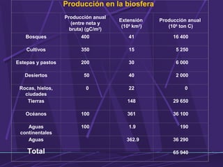 Producción en la biosfera 
Producción anual 
(entre neta y 
bruta) (gC/m2) 
Extensión 
(106 km2) 
Producción anual 
(106 ton C) 
Bosques 400 41 16 400 
Cultivos 350 15 5 250 
Estepas y pastos 200 30 6 000 
Desiertos 50 40 2 000 
Rocas, hielos, 
0 22 0 
ciudades 
Tierras 148 29 650 
Océanos 100 361 36 100 
Aguas 
continentales 
100 1.9 190 
Aguas 362.9 36 290 
Total 65 940 
 