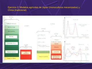 Ejercicio 2: Modelos agrícolas de Japón (monocultivos mecanizados) y 
China (tradicional) 
 