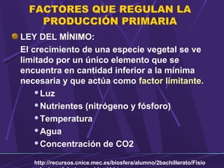 FACTORES QUE REGULAN LA 
PRODUCCIÓN PRIMARIA 
LEY DEL MÍNIMO: 
El crecimiento de una especie vegetal se ve 
limitado por un único elemento que se 
encuentra en cantidad inferior a la mínima 
necesaria y que actúa como factor limitante. 
Luz 
Nutrientes (nitrógeno y fósforo) 
Temperatura 
Agua 
Concentración de CO2 
http://recursos.cnice.mec.es/biosfera/alumno/2bachillerato/Fisio 
logia_celular/contenidos11.htm 
 