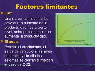 Factores limitantes 
Luz: 
Una mayor cantidad de luz 
provoca un aumento de la 
productividad hasta cierto 
nivel, sobrepasado el cual no 
aumenta la productividad. 
El agua: 
Permite el crecimiento, al 
servir de vehículo a las sales 
minerales y sin ella los 
estomas se cierran e impiden 
el paso de CO2. 
 