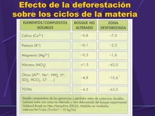 Efecto de la deforestación 
sobre los ciclos de la materia 
 
