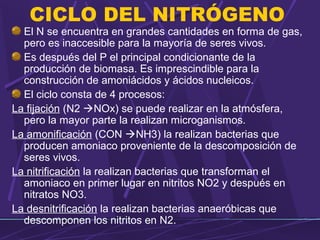 CICLO DEL NITRÓGENO 
El N se encuentra en grandes cantidades en forma de gas, 
pero es inaccesible para la mayoría de seres vivos. 
Es después del P el principal condicionante de la 
producción de biomasa. Es imprescindible para la 
construcción de amoniácidos y ácidos nucleicos. 
El ciclo consta de 4 procesos: 
La fijación (N2 NOx) se puede realizar en la atmósfera, 
pero la mayor parte la realizan microganismos. 
La amonificación (CON NH3) la realizan bacterias que 
producen amoniaco proveniente de la descomposición de 
seres vivos. 
La nitrificación la realizan bacterias que transforman el 
amoniaco en primer lugar en nitritos NO2 y después en 
nitratos NO3. 
La desnitrificación la realizan bacterias anaeróbicas que 
descomponen los nitritos en N2. 
 