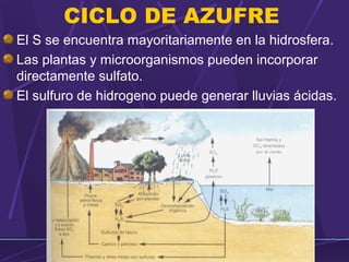CICLO DE AZUFRE 
El S se encuentra mayoritariamente en la hidrosfera. 
Las plantas y microorganismos pueden incorporar 
directamente sulfato. 
El sulfuro de hidrogeno puede generar lluvias ácidas. 

