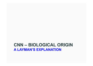CNN – BIOLOGICAL ORIGIN
A LAYMAN’S EXPLANATION
 