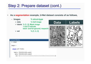Step 2: Prepare dataset (cont.)
• As a segmentation example, U-Net dataset consists of as follows,
– Images % struct-type
Ø data % Cell image
Ø labels % [1, 2], Mask image.
1 and 2 indicate
back- and for-ground, respectively.
Ø set % [1, 2, 3]
Data Labels
 