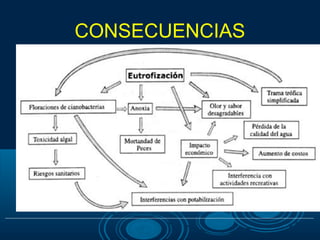 CONSECUENCIAS
 