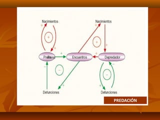 PREDACIÓN
 