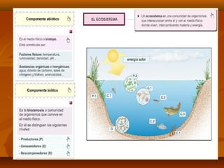 CTM Biosfera uni 9