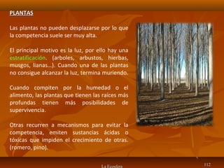 La Ecosfera 112112
PLANTASPLANTAS
Las plantas no pueden desplazarse por lo que
la competencia suele ser muy alta.
El principal motivo es la luz, por ello hay una
estratificación. (arboles, arbustos, hierbas,
musgos, lianas…). Cuando una de las plantas
no consigue alcanzar la luz, termina muriendo.
Cuando compiten por la humedad o el
alimento, las plantas que tienen las raíces más
profundas tienen más posibilidades de
supervivencia.
Otras recurren a mecanismos para evitar la
competencia, emiten sustancias ácidas o
tóxicas que impiden el crecimiento de otras.
(romero, pino).
 