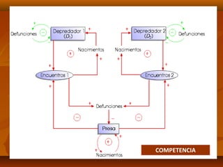 COMPETENCIA
 