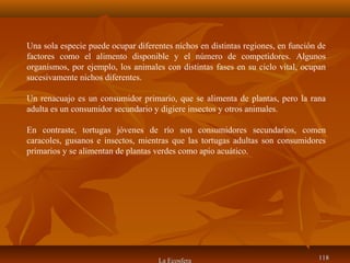 La Ecosfera 118118
Una sola especie puede ocupar diferentes nichos en distintas regiones, en función de
factores como el alimento disponible y el número de competidores. Algunos
organismos, por ejemplo, los animales con distintas fases en su ciclo vital, ocupan
sucesivamente nichos diferentes.
Un renacuajo es un consumidor primario, que se alimenta de plantas, pero la rana
adulta es un consumidor secundario y digiere insectos y otros animales.
En contraste, tortugas jóvenes de río son consumidores secundarios, comen
caracoles, gusanos e insectos, mientras que las tortugas adultas son consumidores
primarios y se alimentan de plantas verdes como apio acuático.
 
