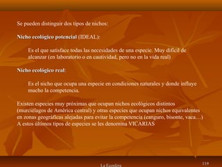 La Ecosfera 119119
Se pueden distinguir dos tipos de nichos:
Nicho ecológico potencialNicho ecológico potencial (IDEAL):
Es el que satisface todas las necesidades de una especie. Muy difícil de
alcanzar (en laboratorio o en cautividad, pero no en la vida real)
Nicho ecológico realNicho ecológico real:
Es el nicho que ocupa una especie en condiciones naturales y donde influye
mucho la competencia.
Existen especies muy próximas que ocupan nichos ecológicos distintos
(murciélagos de América central) y otras especies que ocupan nichos equivalentes
en zonas geográficas alejadas para evitar la competencia (canguro, bisonte, vaca…)
A estos últimos tipos de especies se les denomina VICARIAS
 