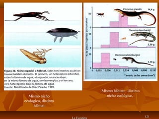 La Ecosfera 121121
Mismo nicho
ecológico, distinto
hábitat
Mismo hábitat, distinto
nicho ecológico,
 