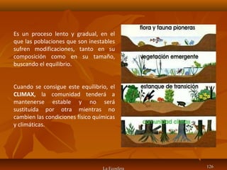 La Ecosfera 126126
Es un proceso lento y gradual, en el
que las poblaciones que son inestables
sufren modificaciones, tanto en su
composición como en su tamaño,
buscando el equilibrio.
Cuando se consigue este equilibrio, el
CLIMAX, la comunidad tenderá a
mantenerse estable y no será
sustituida por otra mientras no
cambien las condiciones físico químicas
y climáticas.
 