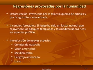 La Ecosfera 137137
Regresiones provocadas por la humanidadRegresiones provocadas por la humanidad
 Deforestación: Provocada por la tala y la quema de árboles y
por la agricultura mecanizada.
 Incendios forestales: El fuego ha sido un factor natural que
rejuvenece los bosques templados y los mediterráneos ricos
en especies pirófilas.
 Introducción de nuevas especies
 Conejos de Australia
 Visón americano
 Mejillón cebra
 Cangrejo americano
 Lucio
 