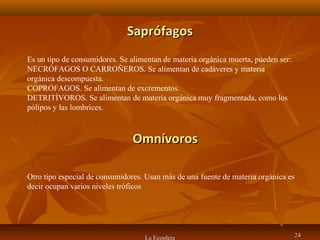 SaprófagosSaprófagos
La Ecosfera 2424
Es un tipo de consumidores. Se alimentan de materia orgánica muerta, pueden ser:
NECRÓFAGOS O CARROÑEROS. Se alimentan de cadáveres y materia
orgánica descompuesta.
COPRÓFAGOS. Se alimentan de excrementos.
DETRITÍVOROS. Se alimentan de materia orgánica muy fragmentada, como los
pólipos y las lombrices.
OmnívorosOmnívoros
Otro tipo especial de consumidores. Usan más de una fuente de materia orgánica es
decir ocupan varios niveles tróficos
 