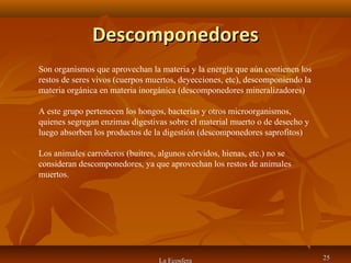 DescomponedoresDescomponedores
La Ecosfera 2525
Son organismos que aprovechan la materia y la energía que aún contienen los
restos de seres vivos (cuerpos muertos, deyecciones, etc), descomponiendo la
materia orgánica en materia inorgánica (descomponedores mineralizadores)
A este grupo pertenecen los hongos, bacterias y otros microorganismos,
quienes segregan enzimas digestivas sobre el material muerto o de desecho y
luego absorben los productos de la digestión (descomponedores saprofitos)
Los animales carroñeros (buitres, algunos córvidos, hienas, etc.) no se
consideran descomponedores, ya que aprovechan los restos de animales
muertos.
 