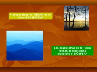 A escala global la TIERRA es un
único ECOSISTEMA
A escala global la TIERRA es un
único ECOSISTEMA
Los ecosistemas de la Tierra
forman el ecosistema
planetario o BIÓSFERA
Los ecosistemas de la Tierra
forman el ecosistema
planetario o BIÓSFERA
 