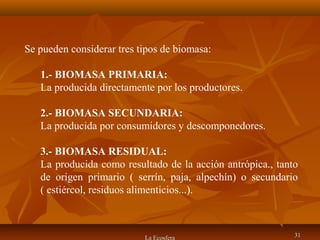 La Ecosfera 3131
Se pueden considerar tres tipos de biomasa:
1.- BIOMASA PRIMARIA:
La producida directamente por los productores.
2.- BIOMASA SECUNDARIA:
La producida por consumidores y descomponedores.
3.- BIOMASA RESIDUAL:
La producida como resultado de la acción antrópica., tanto
de origen primario ( serrín, paja, alpechín) o secundario
( estiércol, residuos alimenticios...).
 