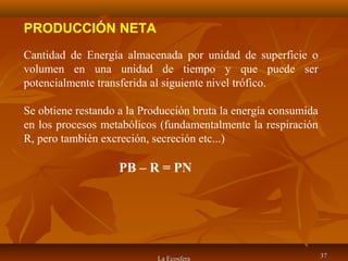 La Ecosfera 3737
PRODUCCIÓN NETA
Cantidad de Energía almacenada por unidad de superficie o
volumen en una unidad de tiempo y que puede ser
potencialmente transferida al siguiente nivel trófico.
Se obtiene restando a la Producción bruta la energía consumida
en los procesos metabólicos (fundamentalmente la respiración
R, pero también excreción, secreción etc...)
PB – R = PN
 