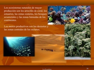 La Ecosfera 3838
Los ecosistemas naturales de mayor
producción son los arrecifes de coral, los
estuarios, las zonas costeras, los bosques
ecuatoriales y las zonas húmedas de los
continentes.
Los menos productivos son los desiertos y
las zonas centrales de los océanos.
 