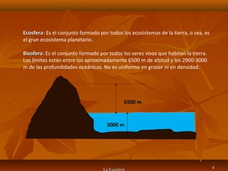 La Ecosfera 44
EcosferaEcosfera: Es el conjunto formado por todos los ecosistemas de la tierra, o sea, es
el gran ecosistema planetario.
BiosferaBiosfera: Es el conjunto formado por todos los seres vivos que habitan la tierra.
Los límites están entre los aproximadamente 6500 m de altitud y los 2900-3000
m de las profundidades oceánicas. No es uniforme en grosor ni en densidad.
6500 m
3000 m
 
