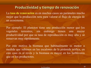 Productividad y tiempo de renovaciónProductividad y tiempo de renovación
La Ecosfera 4040
La tasa de renovación es en muchos casos un parámetro mucho
mejor que la producción neta para valorar el flujo de energía de
un ecosistema.
Por ejemplo: El plancton tiene una producción menor que los
vegetales terrestres, sin embargo tienen una mayor
productividad por que su tasa de reproducción es muy alta y se
renuevan muy rápidamente.
Por este motivo la biomasa que habitualmente es menor a
medida que subimos en los escalones de la pirámide trófica, en
este caso es al revés y la biomasa es mayor en los herbívoros
que en los productores.
 