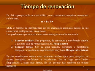 Tiempo de renovaciónTiempo de renovación
La Ecosfera 4242
Es el tiempo que tarda un nivel trófico, o un ecosistema completo, en renovar
su biomasa.
tr = B / PN
Mide el tiempo de permanencia de los elementos químicos dentro de las
estructuras biológicas del ecosistema.
Los productores pueden presentas dos estrategias en relación a su tr:
1. Especies rápidas. Son pequeños, de estructura y morfología simple,
y con una tasa de reproducción alta. Fitoplancton
2. Especies lentas. Son de gran tamaño, estructura y morfología
compleja, y una tasa de reproducción muy baja. Bosques de encinas.
En los ecosistemas suelen estar presentes ambos tipos para asegurar un
aporte energético suficiente al ecosistema. En un lago suele haber
fitoplancton y algas más lentas. En un encinar hay también un estrato
herbáceo
 